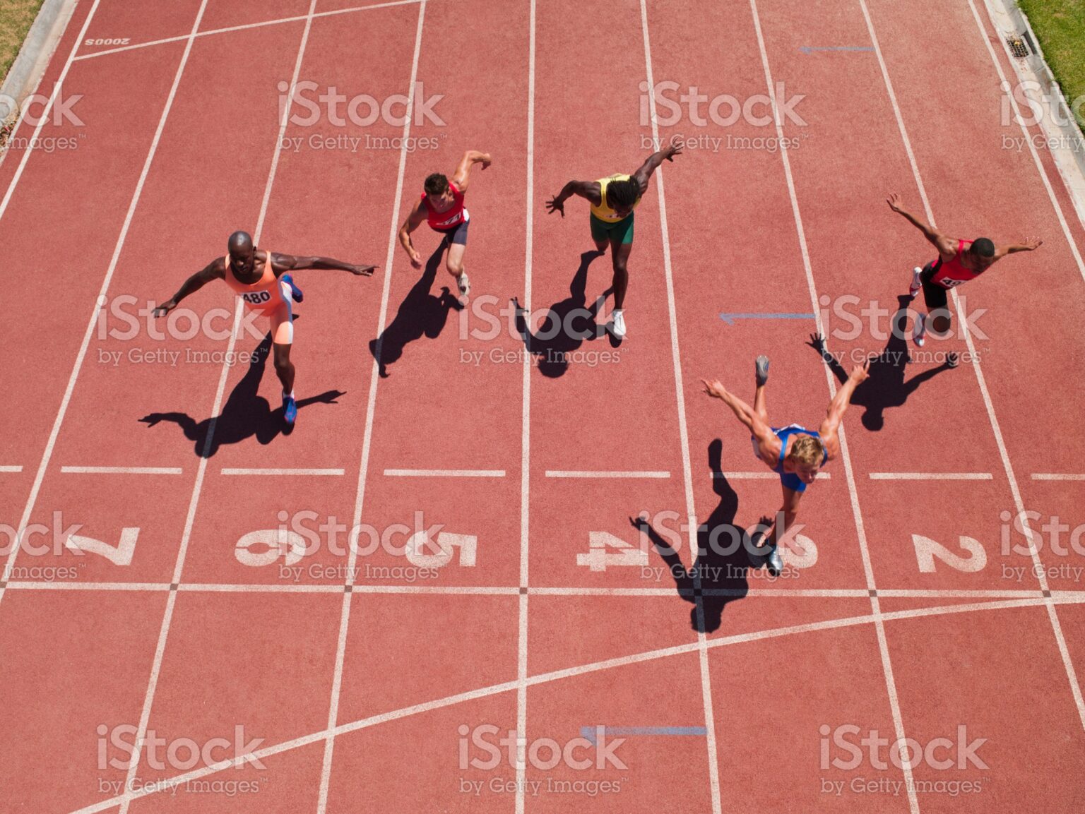 Recruitment services for Sports Sector 2 TRB